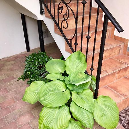 Apartmány U Vavřince Sušice Exterior foto