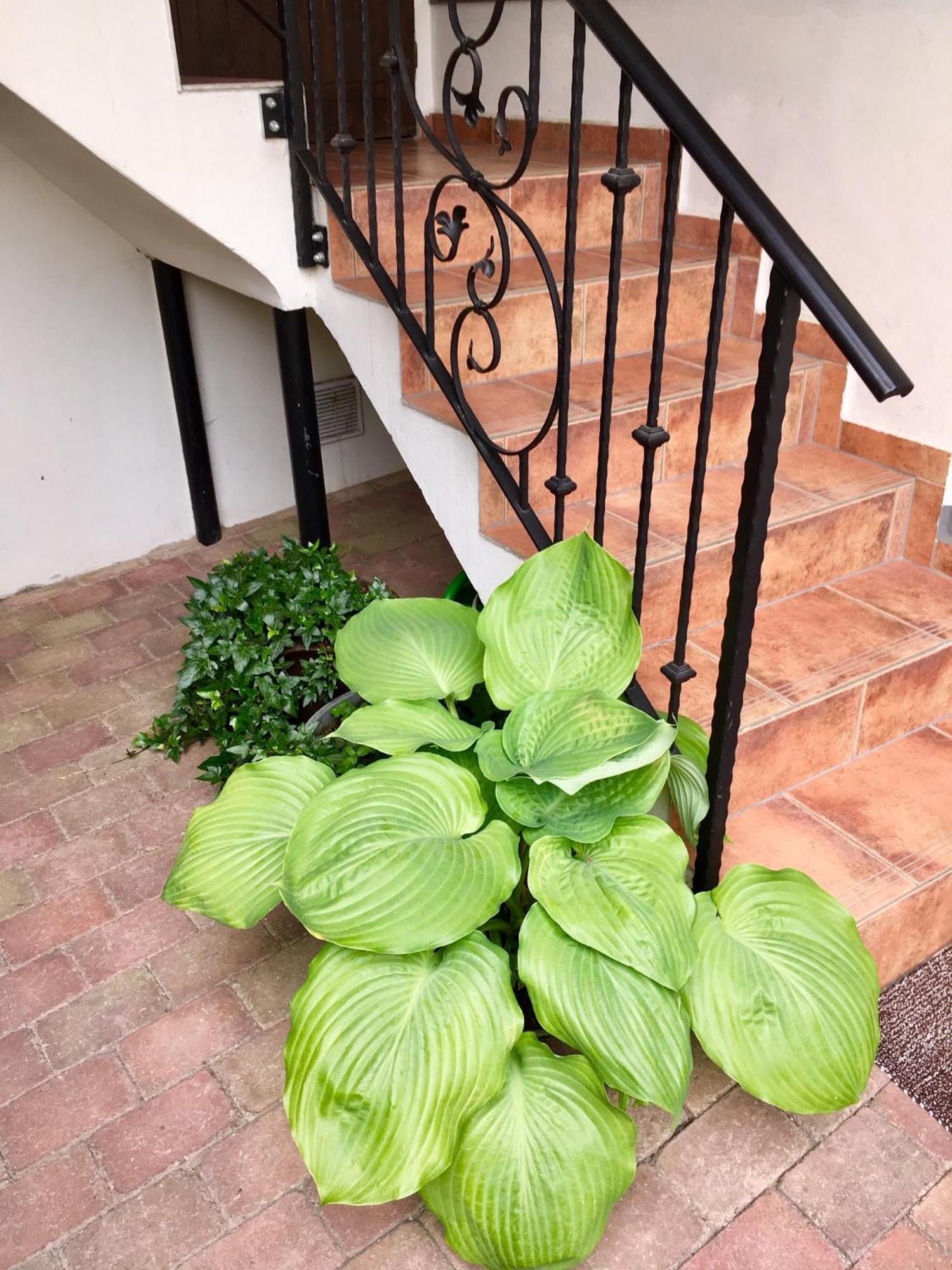 Apartmány U Vavřince Sušice Exterior foto