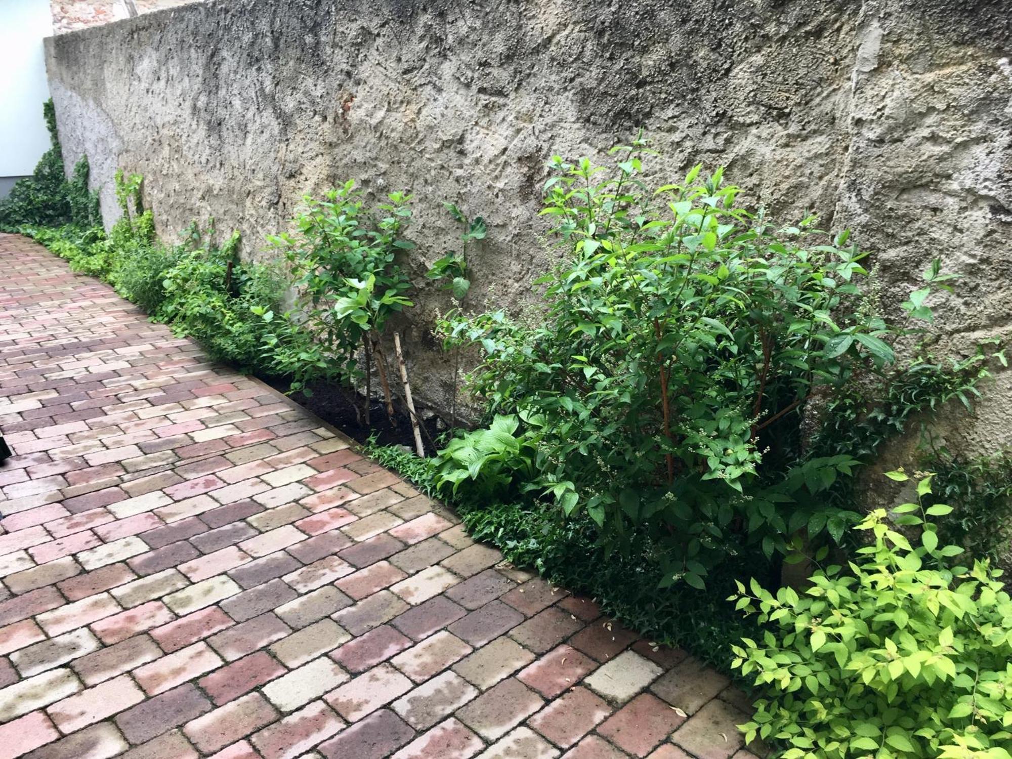Apartmány U Vavřince Sušice Exterior foto